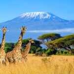 Kenya gezilecek yerler