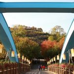 30 bin farklı kelebek bu parkta