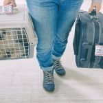 Evcil dostlarınızla keyifli tatil mümkün mü