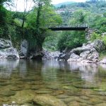 Ordu'nun neyi meşhur?