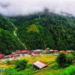 Rize'nin neyi meşhur? Rize'den ne alınır?