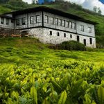 Rize'ye nasıl gidilir?