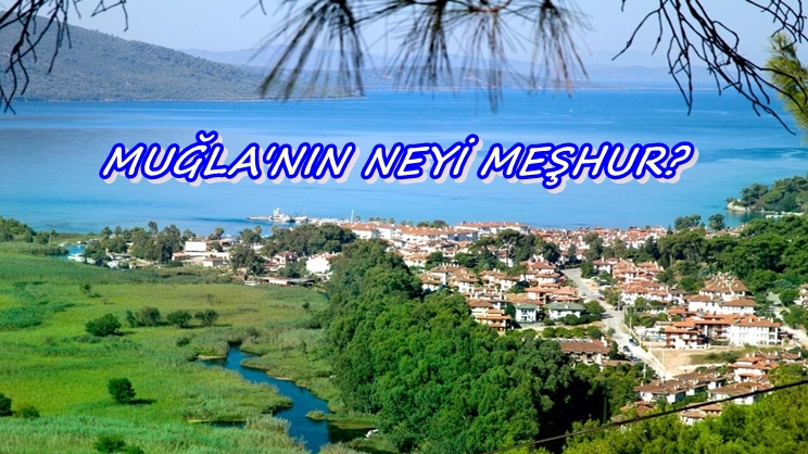 Muğla'nın neyi meşhur?