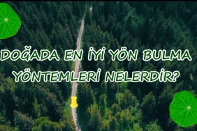 Doğada En İyi Yön Bulma Yöntemleri Nelerdir?