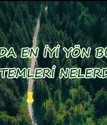 Doğada En İyi Yön Bulma Yöntemleri Nelerdir?