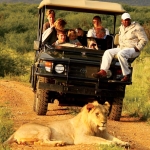 Afrika’da Safari Yapmak için En Doğru Zaman ve Bölgeler