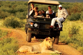 Afrika’da Safari Yapmak için En Doğru Zaman ve Bölgeler