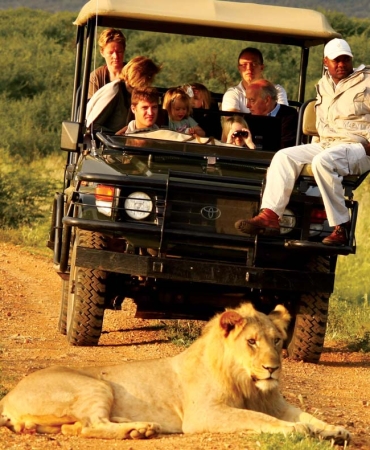 Afrika’da Safari Yapmak için En Doğru Zaman ve Bölgeler