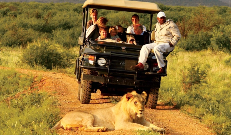 Afrika’da Safari Yapmak için En Doğru Zaman ve Bölgeler