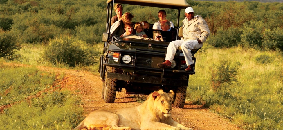Afrika’da Safari Yapmak için En Doğru Zaman ve Bölgeler