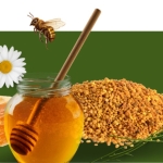 Doğanın Saklı Mirası ve Arıcılık