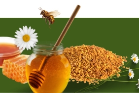 Doğanın Saklı Mirası ve Arıcılık