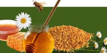 Doğanın Saklı Mirası ve Arıcılık