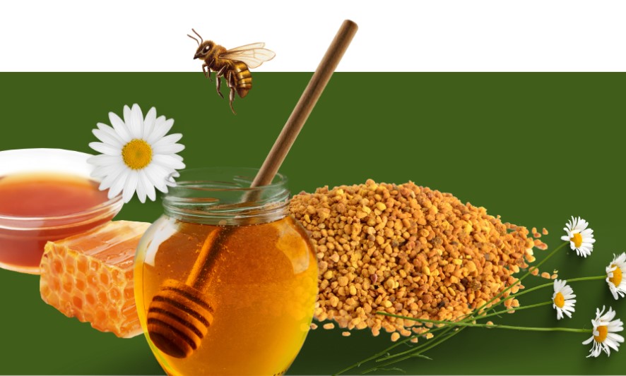 Doğanın Saklı Mirası ve Arıcılık